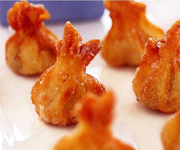 Pack 12 Wontons saumon & légumes